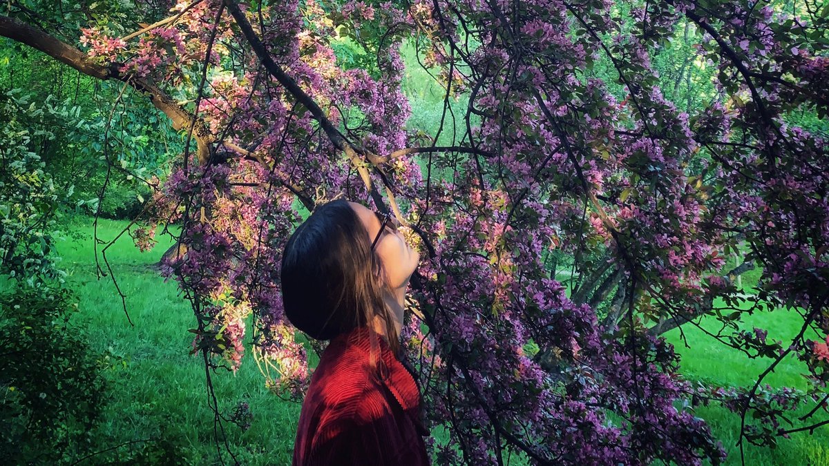 Frokedalmusic's tweet image. Our new album, Flora, is out in record stores and on @Bandcamp next Friday 🌱🌸 
Pre-order: smarturl.it/Frokedal
@FysiskFormat 
#floraLP #CherryBlossoms #stopandsmelltheflowers