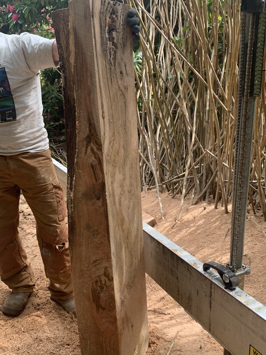 @Strongwesterlies (@derreen2) on Twitter photo An Oak that came down many years ago in the garden at Derreen has been given a new lease of life by <a href="/Goureen2020/">Killarney Saw Milling</a>. Thanks. An Oak that came down many years ago in the garden at Derreen has been given a new lease of life by <a href="/Goureen2020/">Killarney Saw Milling</a>. Thanks.