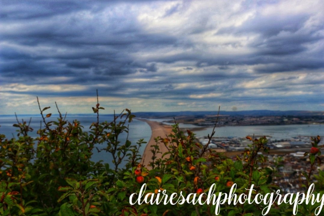 ClairesPhotogr2's tweet photo. #photography #bluesky #beach #cliffview #bushes #sea #clairesachphotography https://t.co/1bffW8peda
