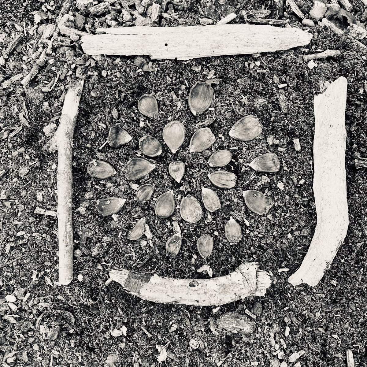 ClareWassermann's tweet image. I’ll be more productive, more creative, happier, and more efficient if I go offline for 24 hours. Laters. 

#techshabbat #24/6