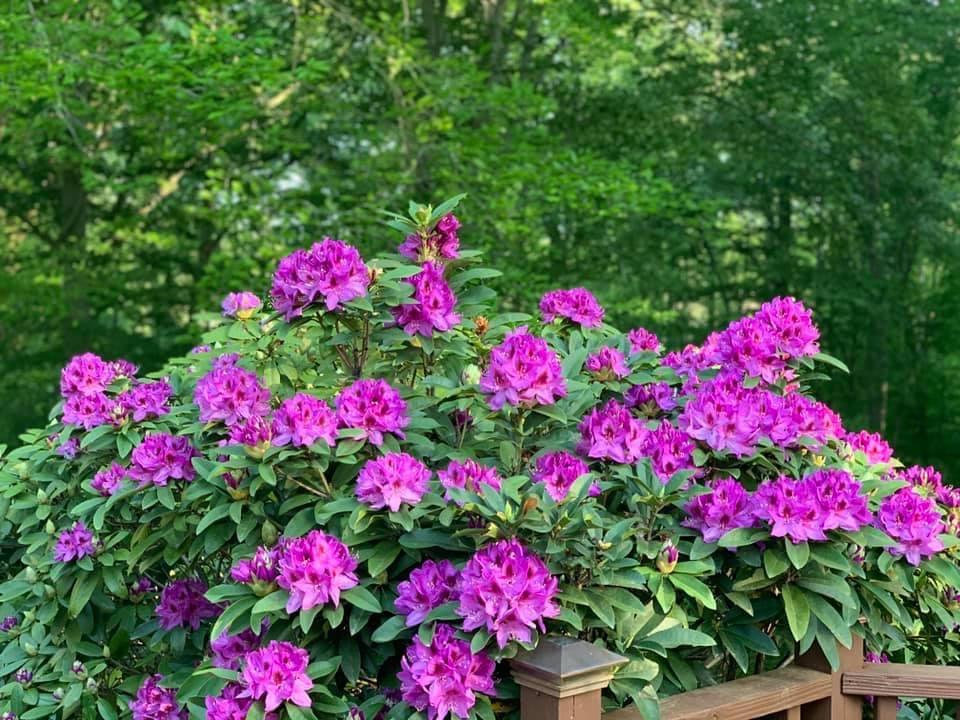 Weekly Newsletter 05/07/2021 conta.cc/3y2Rx4z