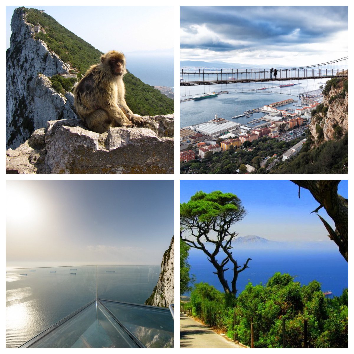 1. Walk around the upper rock and meet our cheeky friends - the Barbary Macaques living in the wild. For those with a head for heights the suspension bridge and skywalk are a must!  #visitgibraltar