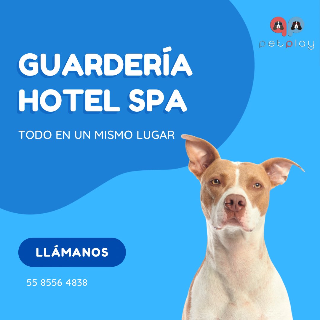 Conoce nuestra GUARDERÍA•HOTEL•ESTÉTICA para Peludos 🐶

En #PetPlay sabemos lo importante que es tu mascota para ti y que cuando sales de vacaciones vas a trabajar o quieres que se vea muy guapo, deseas que se quede contento y que se sienta como en casa. 

 📲 55 8556 4838