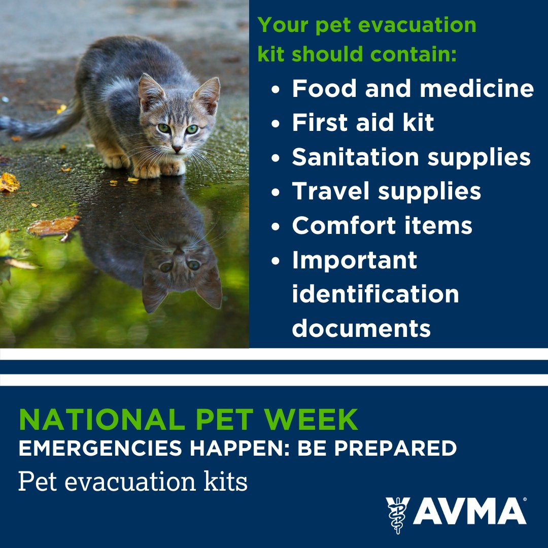 Cat Evacuation Kit