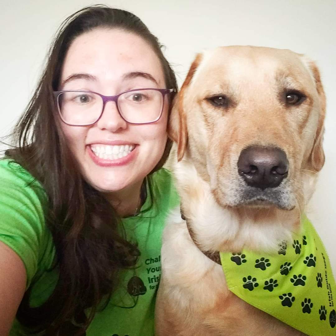 It's #guidedogday! Don't be unimpressed like Teemo, guide dogs work hard every day to help humans be their best, and getting them trained takes a lot of hard work and money. Please celebrate these #dogheroes by donating to <a href="/irishguidedogs/">Irish Guide Dogs for the Blind</a>! 

guide-dog-day-2021.raisely.com/cara-hueston