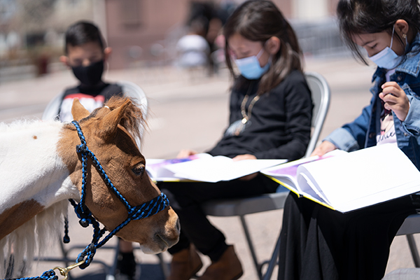 SentinelMagColo's tweet image. The neighs have it during premier read-to-horses program in Arapahoe County ow.ly/Pk7h50EGTns 

#EDcolo #AuroraCO
