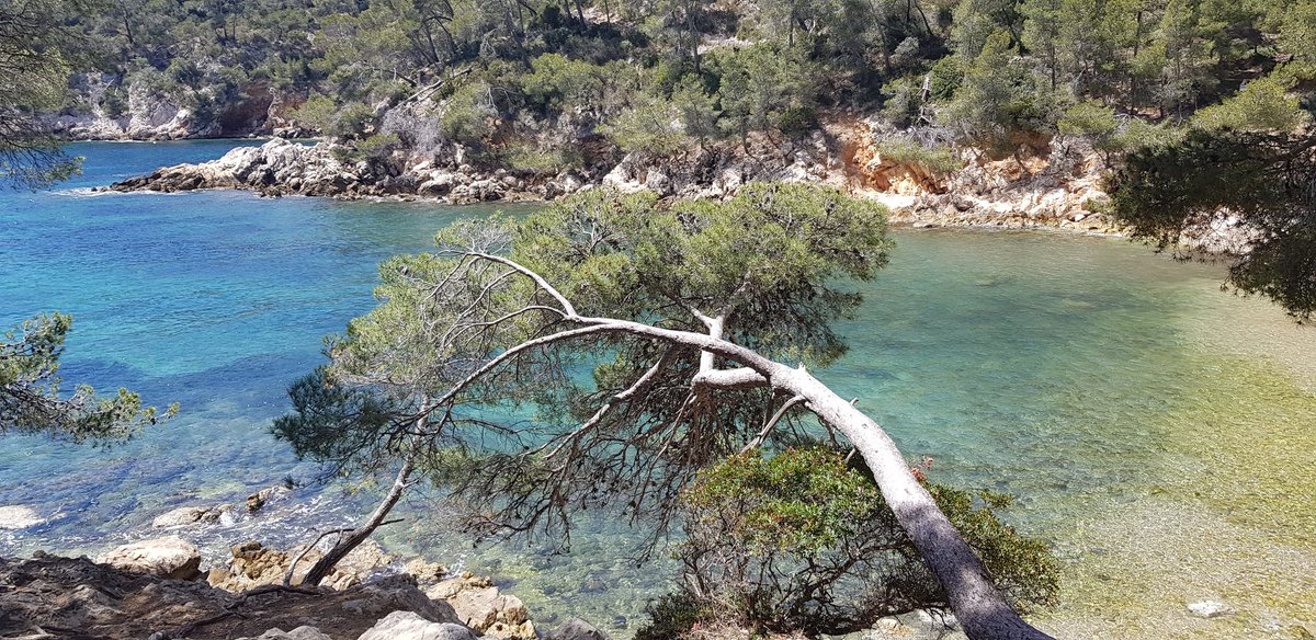 𝐶a𝑡ℎe𝑟𝑖𝑛e 𝑀o𝑖𝑠a𝑛𝑑 (A𝑙𝑙ai𝑛é) tweet media