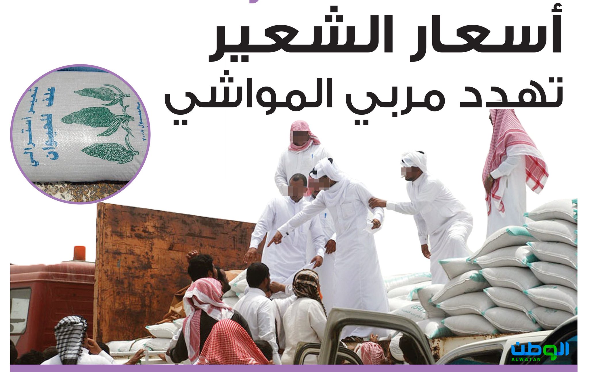 اسعار الشعير في السعودية
