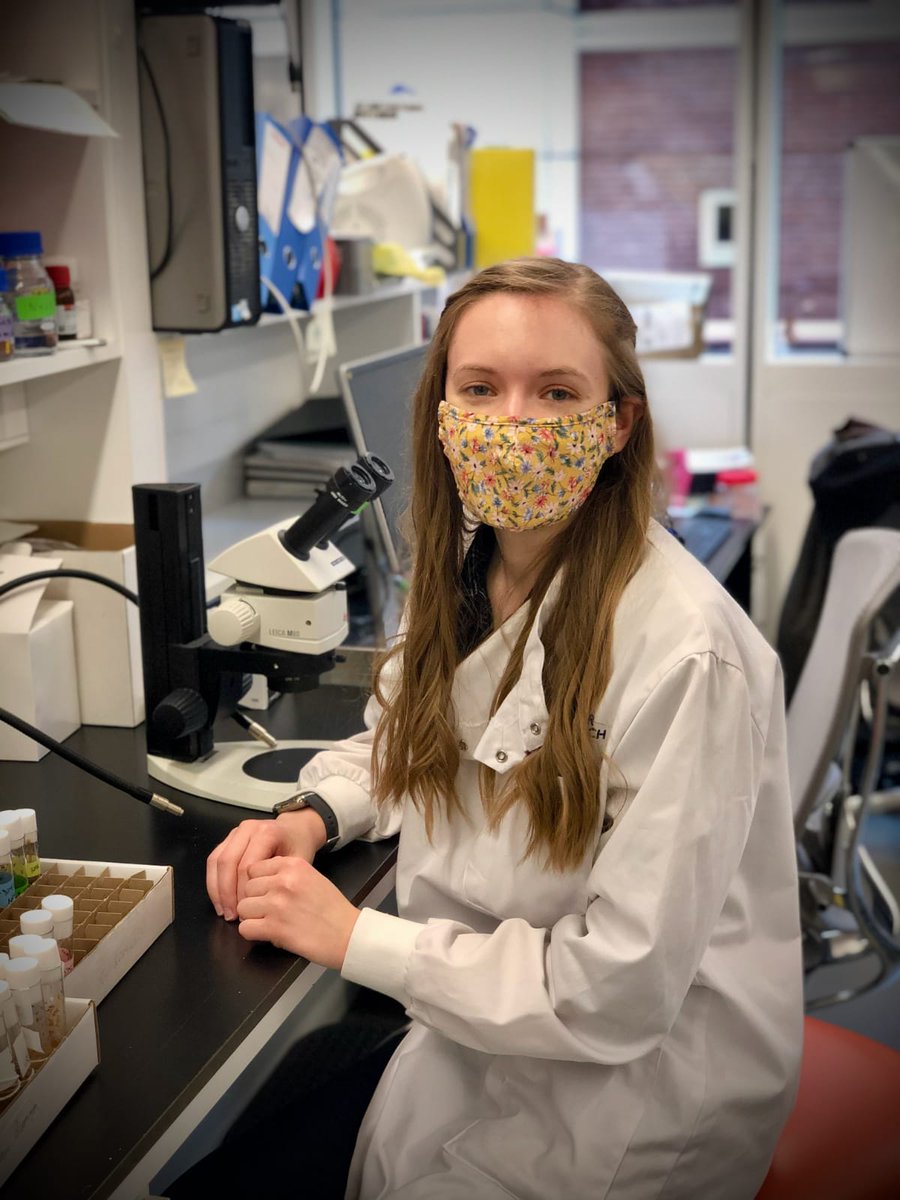 Feature FridayFor this week's  #FeatureFriday we have Claire ( @ClaireHill_),a final year Interdisciplinary Bioscience PhD student who works in the Baena Lopez lab at the  @Dunn_School, in collaboration with the Carter lab at Oxford Brookes! (1/n)