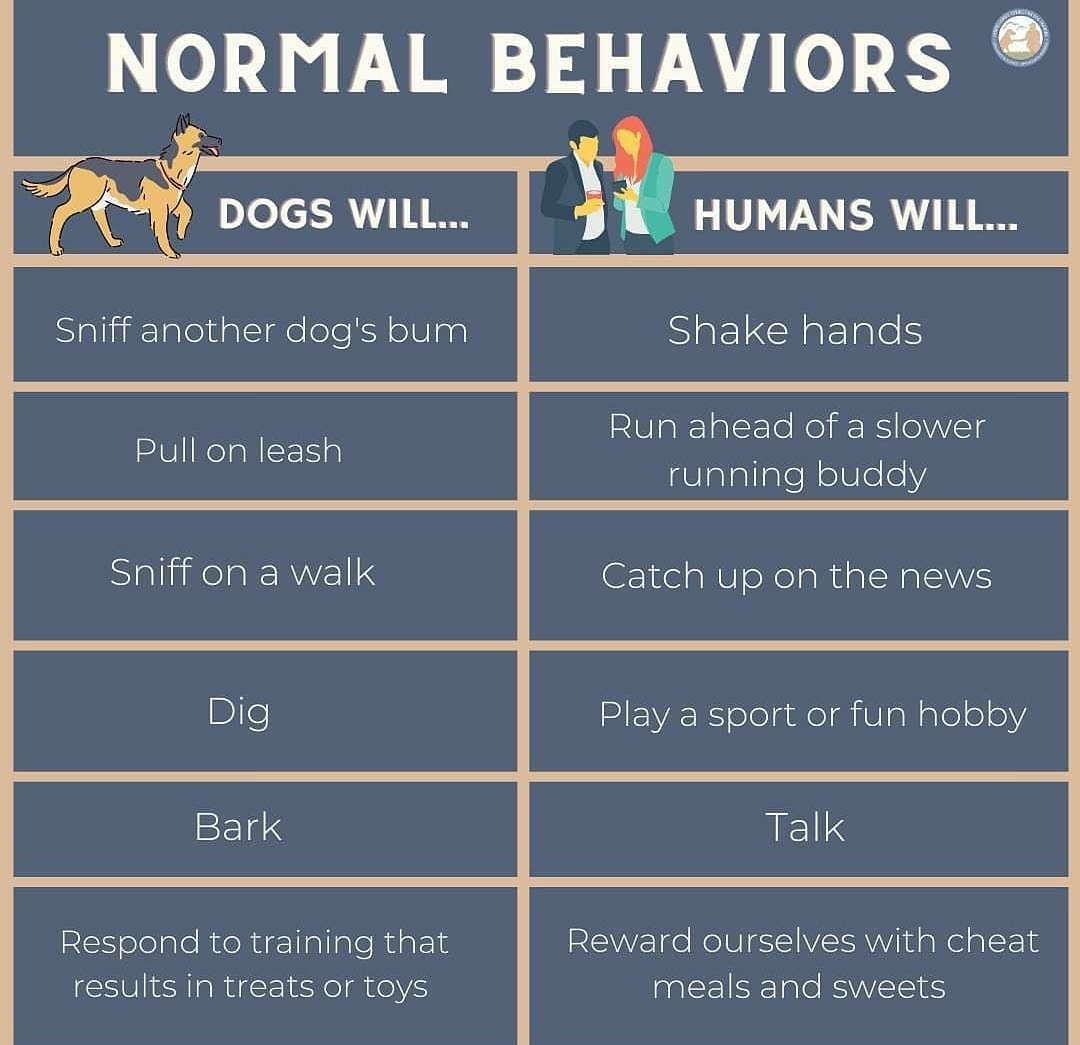 FreeDogTrainin5's tweet photo. https://t.co/OlSdEOx5ot