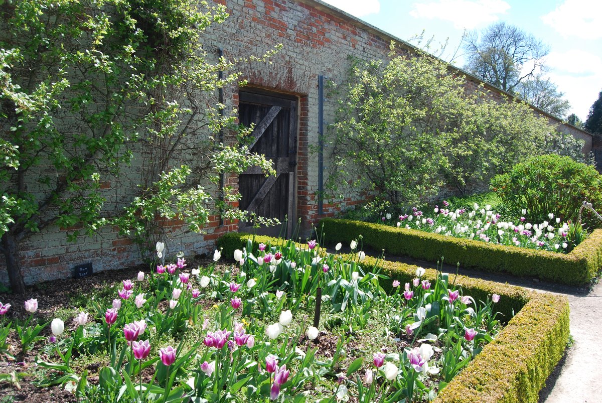 Spring at @WimpoleEstateNT is so beautiful! #lambing #cambridgeshire #nationaltrust #blossomwatch #spring