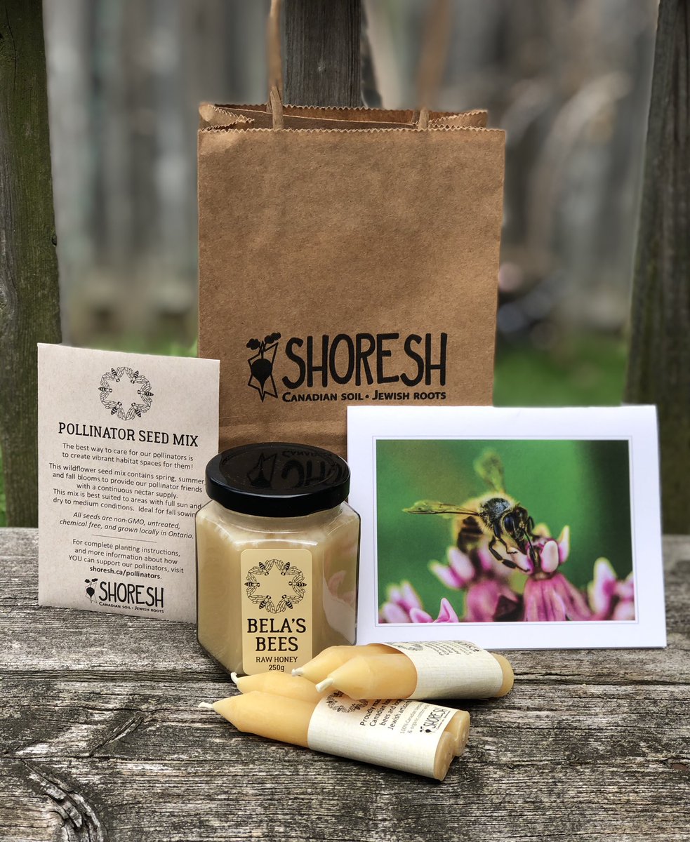 Rainbow Plate (@rnbowplate) on Twitter photo A beautiful gift from <a href="/ShoreshTO/">Shoresh Toronto</a> & a reminder of the importance of protecting our #bees & #pollinators. #ShabbatShalom 🐝🍯 A beautiful gift from <a href="/ShoreshTO/">Shoresh Toronto</a> & a reminder of the importance of protecting our #bees & #pollinators. #ShabbatShalom 🐝🍯
