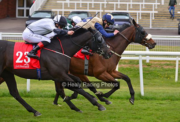 irishracing.com (@irishracing) on Twitter photo Chester/Mallow double for Weld as 'Graig' men dominate <a href="/corkracecourse/">Cork Racecourse</a> irishracing.com/news?prid=2180… Chester/Mallow double for Weld as 'Graig' men dominate <a href="/corkracecourse/">Cork Racecourse</a> irishracing.com/news?prid=2180…