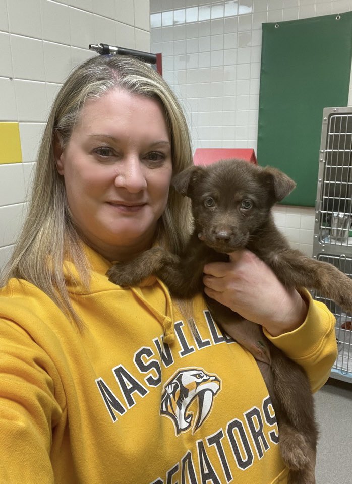 sherriehession's tweet photo. #preds #predsprideday With adoptable puppy Steffi. So cute!ππ @PredsNHL @PredsFoundation https://t.co/CIa4y8Yoko