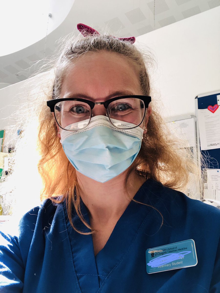 rosavaller's tweet photo. Just finished my last rotation of #vetschool!! Picture of me being very happy and my neon green clinic shoes 💚 it is now time to finish portfolio and study for exams... but maybe after a celebratory beer ;) #vetstudent #scrubs https://t.co/6FtfljyTLy