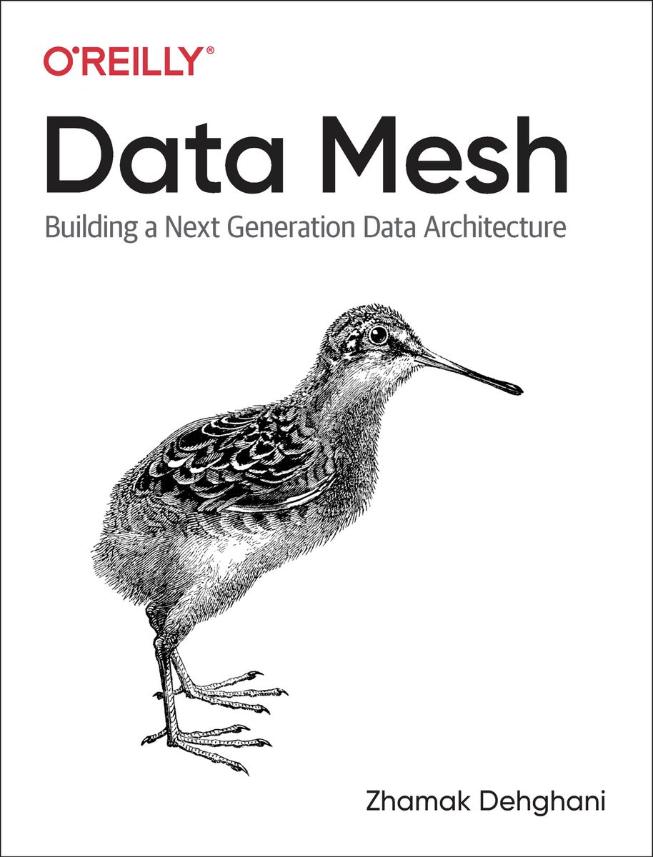 Had to share my excitement with you. The great snipe chick travels great distances, when grown. That’s my hope for Data Mesh, spread far and wide as t matures. Stay tuned for the early release. #DataMesh