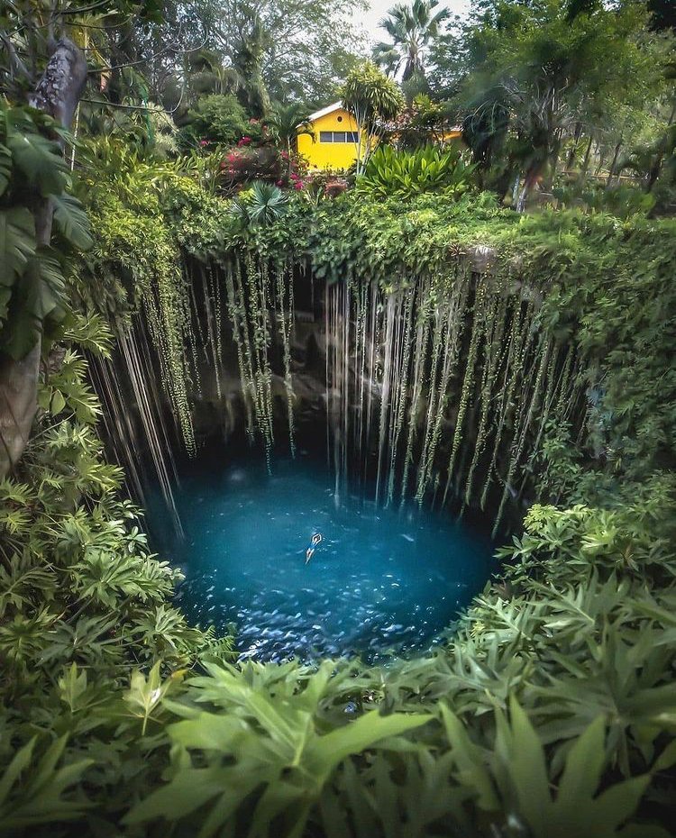 Conocido también como el cenote sagrado azul, Ik Kil tiene un diámetro de 60 metros y la altura es de 25 metros hasta el agua, con una profundidad de 43 metros. 

📷 <a href="/davidmrule/">David Rule</a> 

📍 Cenote Ik Kil, Yucatán
