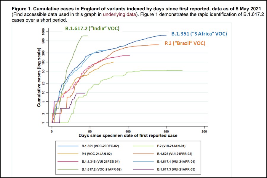 This chart shows how quickly cases of each of the variants have increased from time of first detection in England. The rapidness of B.1.617.2 is evident. The pale blue line tracking the S Africa rise is B.1.617.1, its slower sibling...