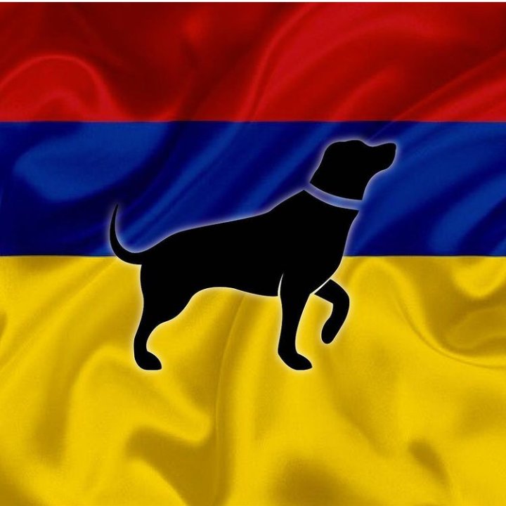 verxnixx's tweet image. POR LOS PERRITOS ASESINADOS EN LAS MANIFESTACIONES DE AYER EN POPAYAN Y POR TODOS DE LOS QUE NO SE TIENE INFORMACIÓN.

PORQUE ESTA GUERRA NO DS DE ELLOS. #ColombiaAlertaRoja
#LATAMLIVESMATTER
#SOSPereira 
#NosEstanMantando 
#SOSBogota #FelizDia