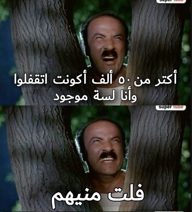 منونهه🐣 tweet media