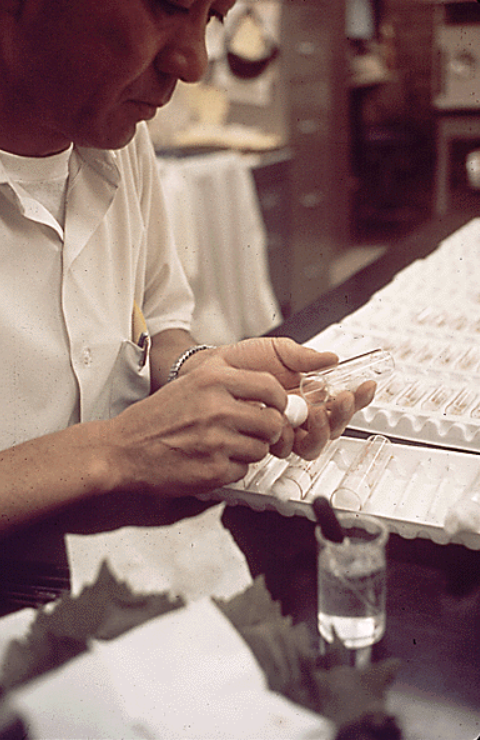 USNatArchives's tweet photo. Just when you think you’ve seen all the #DOCUMERICA photos in the online Catalog, you come across John Nakata feeding and watering larvae of the caravid beetle, a predator of the grape leaf folder moth, just in time #ArchivesBugs!
@EPA #AAPIHM #Entomology #ArchivesHashtagParty https://t.co/o5EMflVNVf