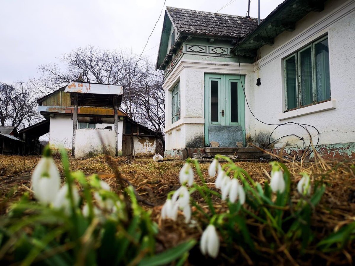 Travel_2Romania's tweet photo. La #Humulesti #Neamt
📷Ionela Lungu
#DiscoverRomania https://t.co/VZZ52Dgs5d