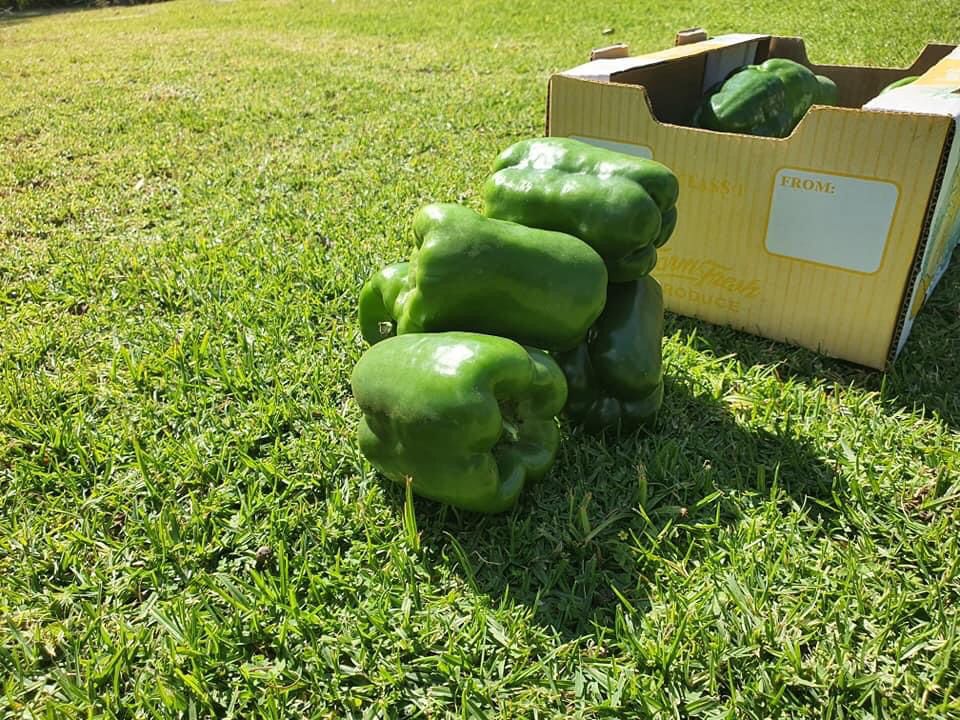 Blessed Mavhungu (@ndomab) on Twitter photo 