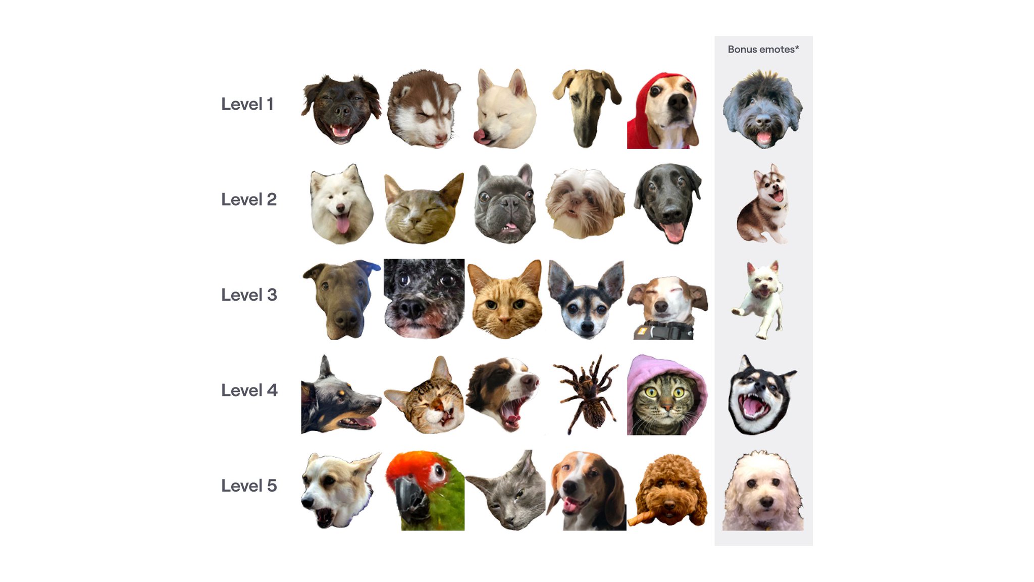Twitch Support Time For A New Hype Train Emote Drop Catch These Fuzzy Furry Or Feathery Creatures When You Support Creators And Keep Their Hype Trains On Track Twitch Support Time For A New Hype Train Emote Drop Catch These Fuzzy Furry Or Feathery Creatures When You Support Creators And Keep Their Hype Trains On Track