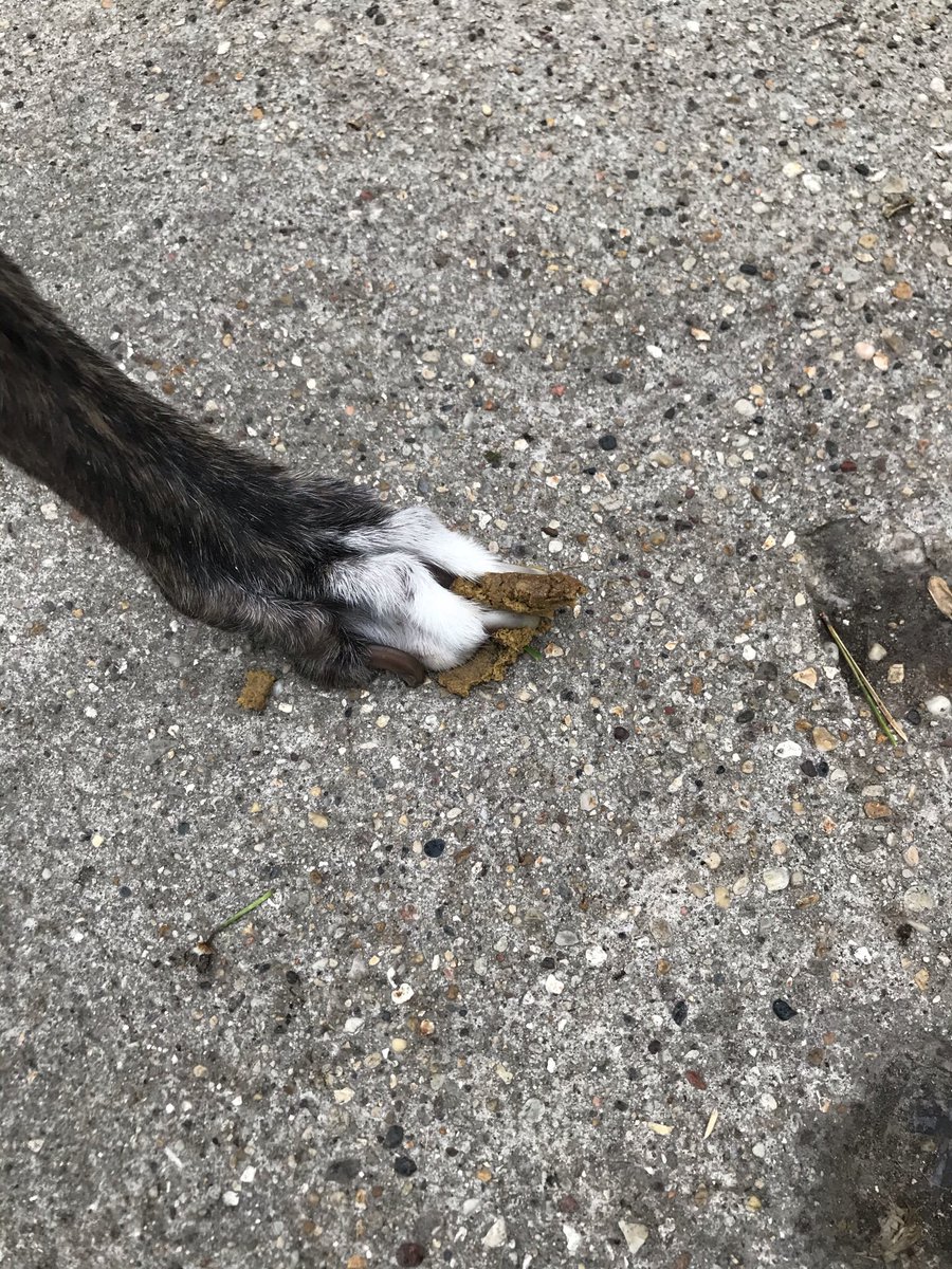 TheWireFrames's tweet image. How’s your day going?