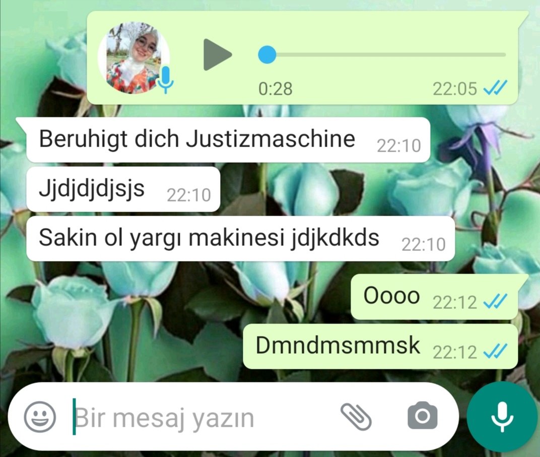 Ablama bugün yine nasıl her konuda  haklı çıktığımı ve bu durumdan bıktığımı anlatıyorumdur
O sırada aylardır Almanca çalışan ablam: