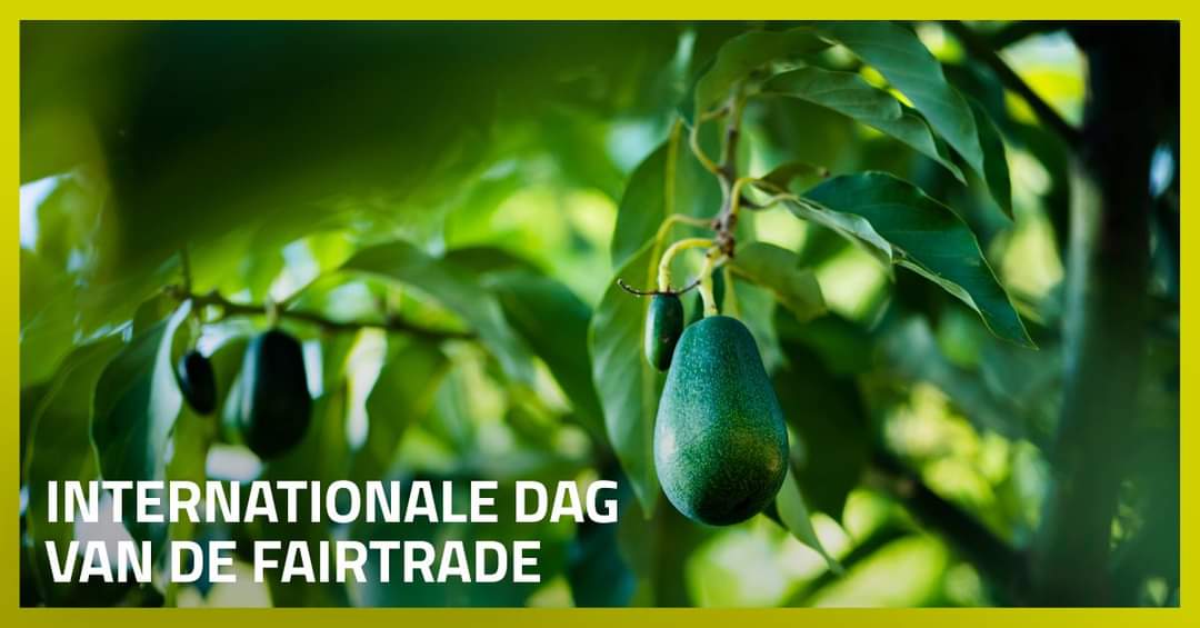 Solidpacker's tweet image. Een duurzame handelspositie voor kleinschalige boeren en arbeiders uit ontwikkelingslanden draagt bij aan een duurzame toekomst. Morgen, op de Internationale Dag van de Fairtrade. #smartpackagingsolutions #fairtrade #duurzaamheid #theperfectbody #packaging #recycleerbaar #karton