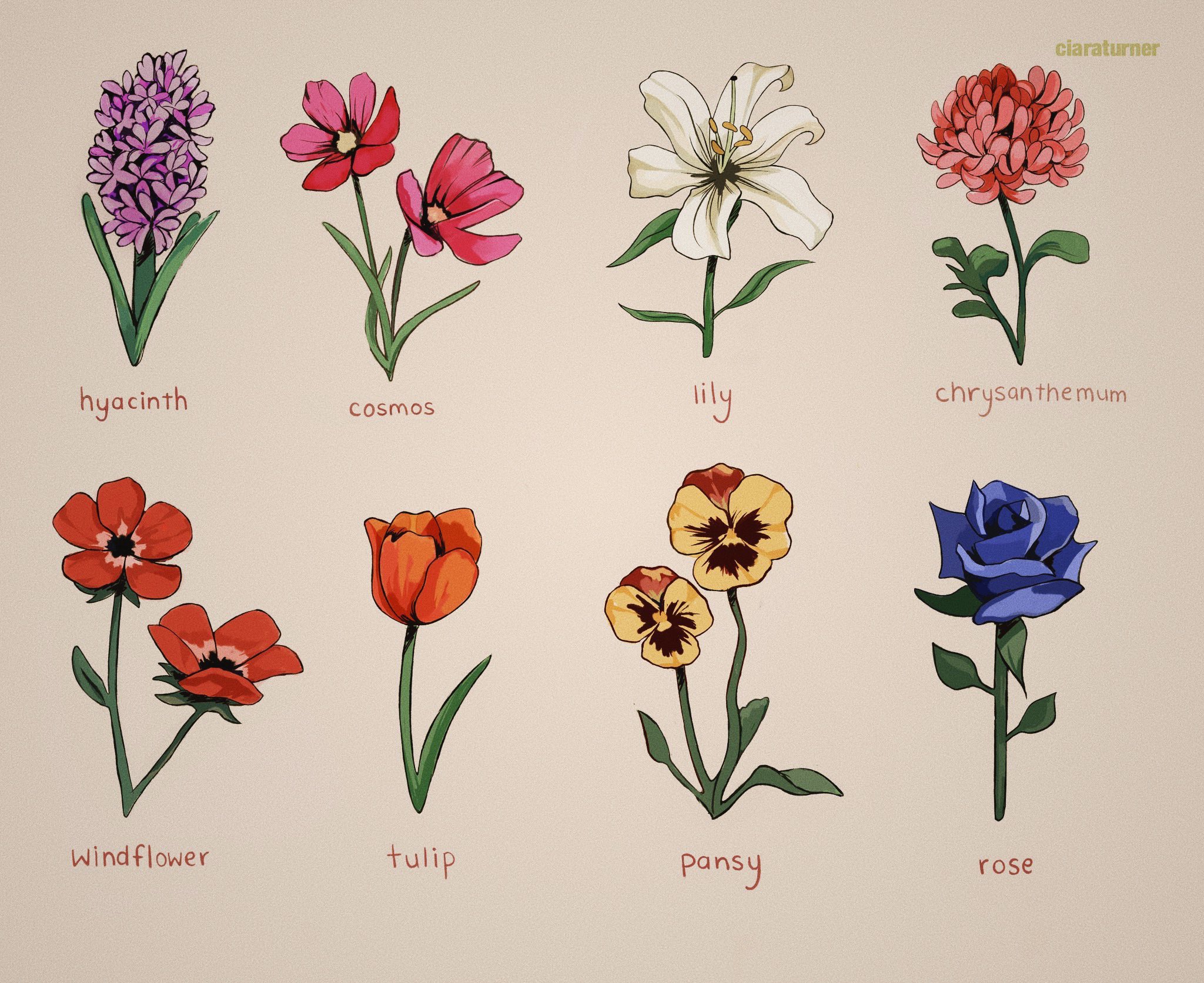 ˗ˏˋ ciara ˎˊ˗ on Twitter "animal crossing flower chart 🥺💐 https//t.co