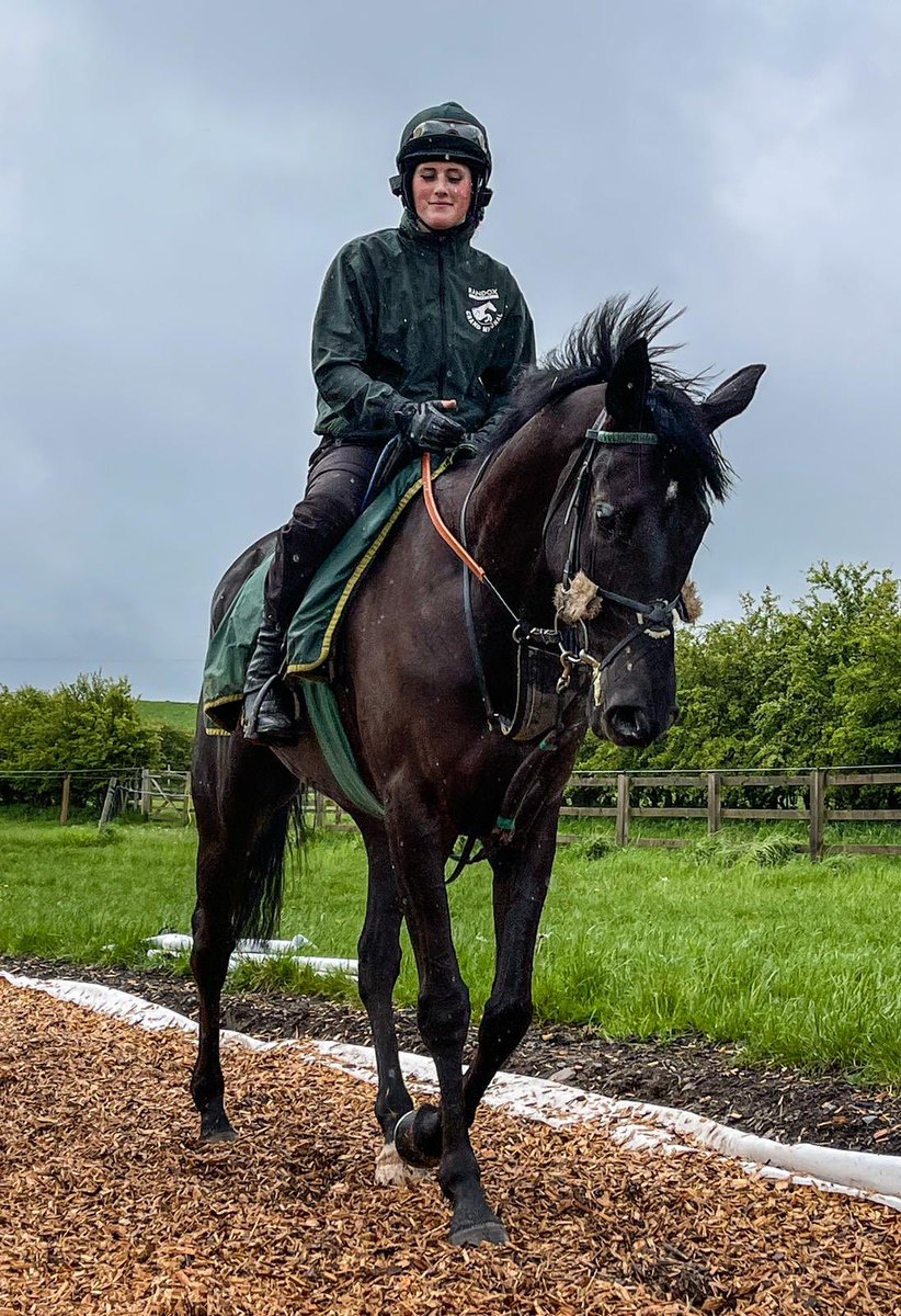 RacingRedcap's tweet photo. Thanks to pippa for sending pics of coco Abington Park ⁦@PKirbyRacing⁩ ⁦@RacingRedcap⁩ https://t.co/fBoe8cQAEn