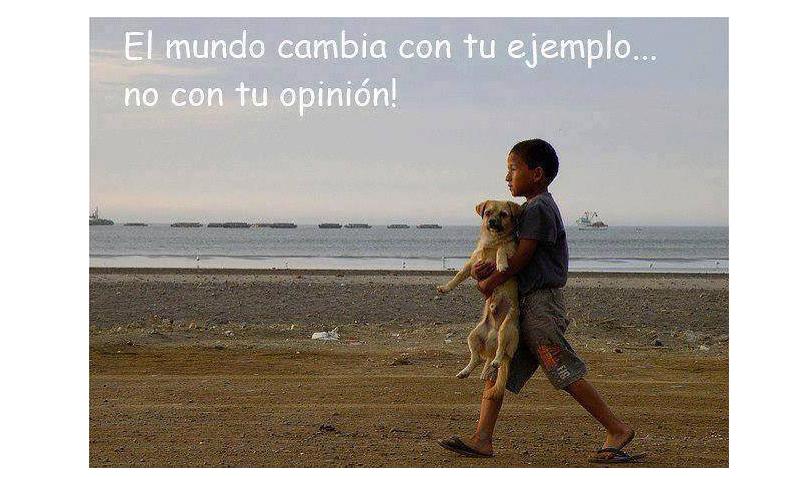 eHealth (@mdtsalud) on Twitter photo 