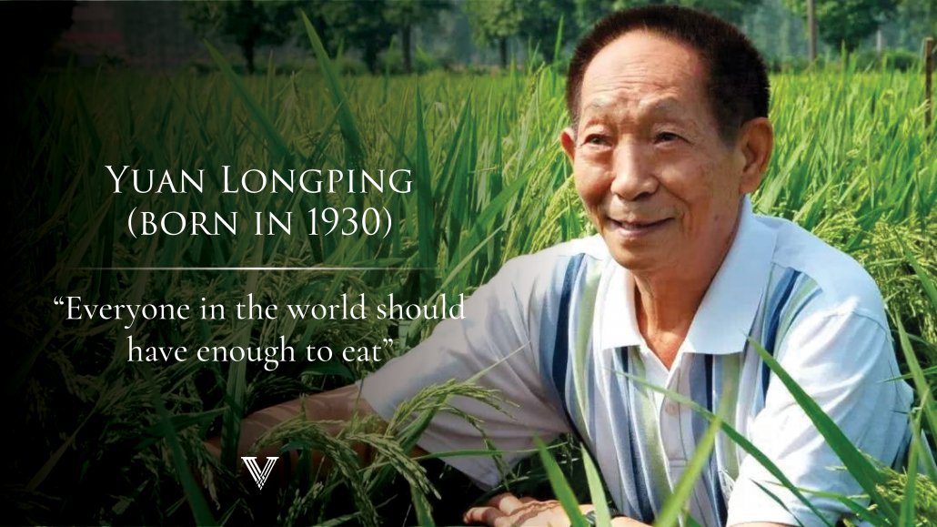 zlj517's tweet image. My condolences to the family of #China's famous scientist #YuanLongping, who passed away today at the age of 91. He is Father of #HybridRice in China. He helped pull countless people out of hunger. RIP!