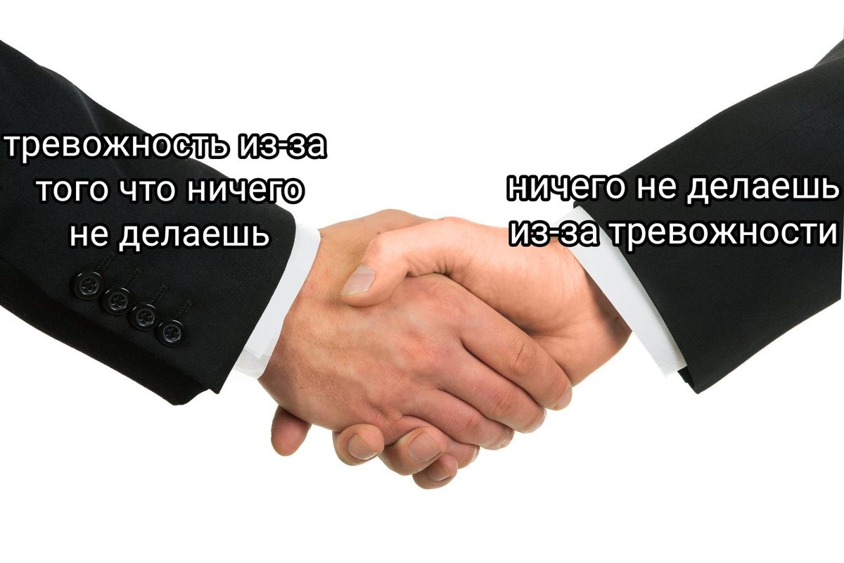 hen_bie_'s tweet photo. яяя https://t.co/MYsW2fAGzZ