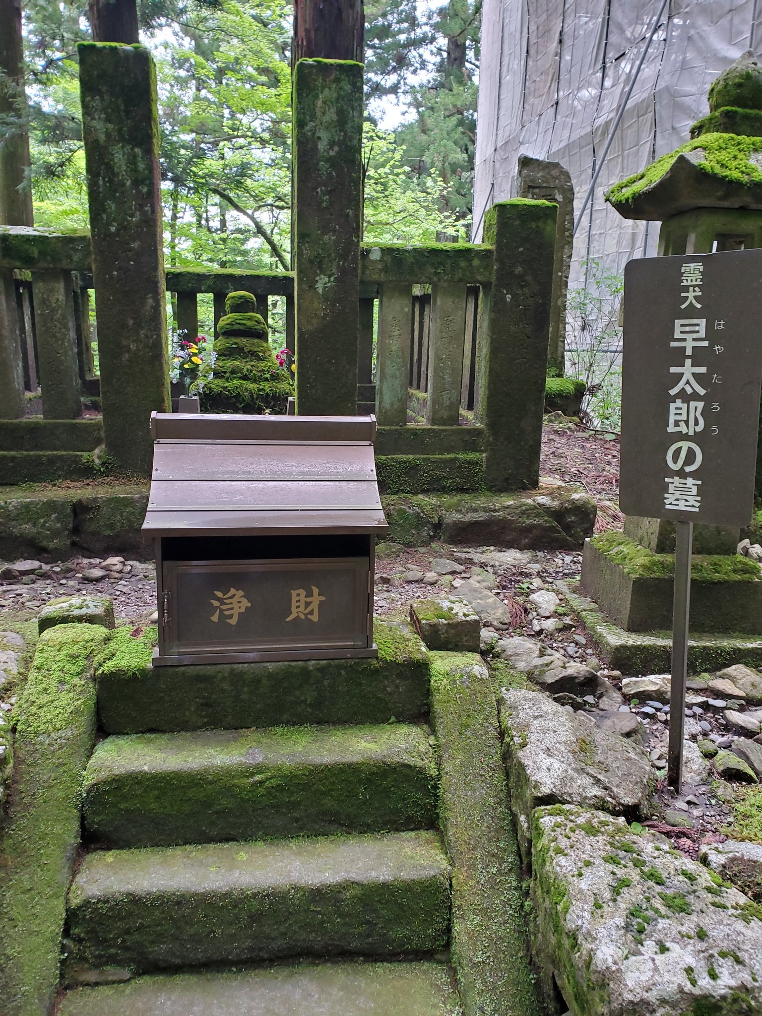 早太郎伝説 Twitter Search Twitter