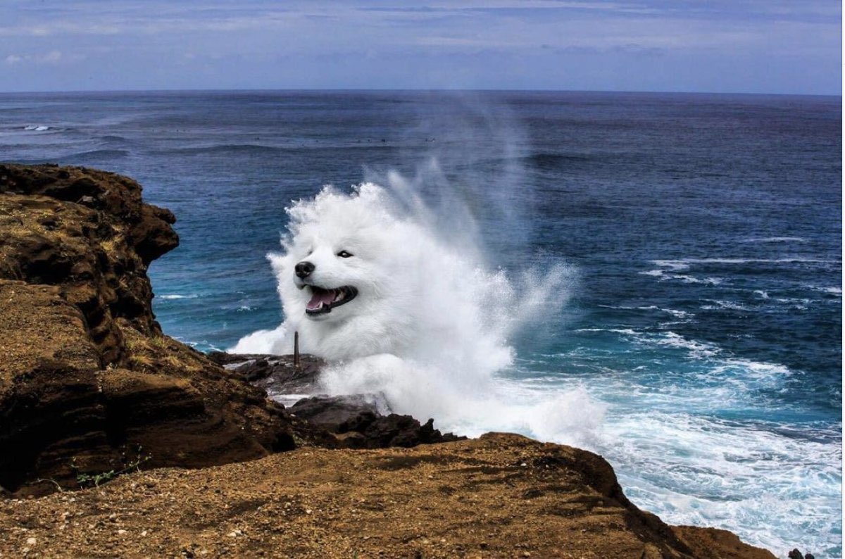 아까 줏은 이 짤이 좋아서 
보고 웃고 또 보고 또 웃고