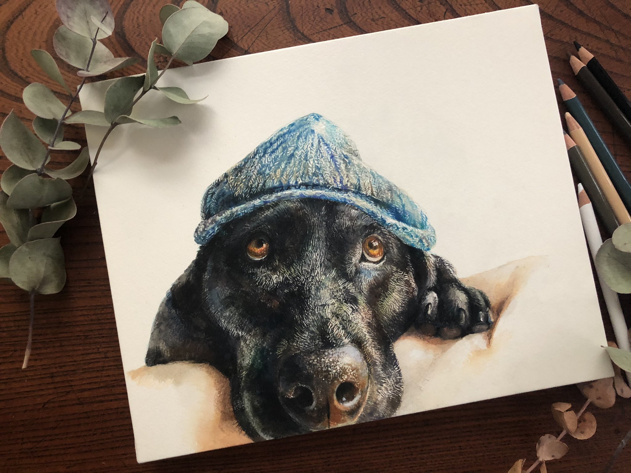 黒ラブラドール Twitter Search Twitter