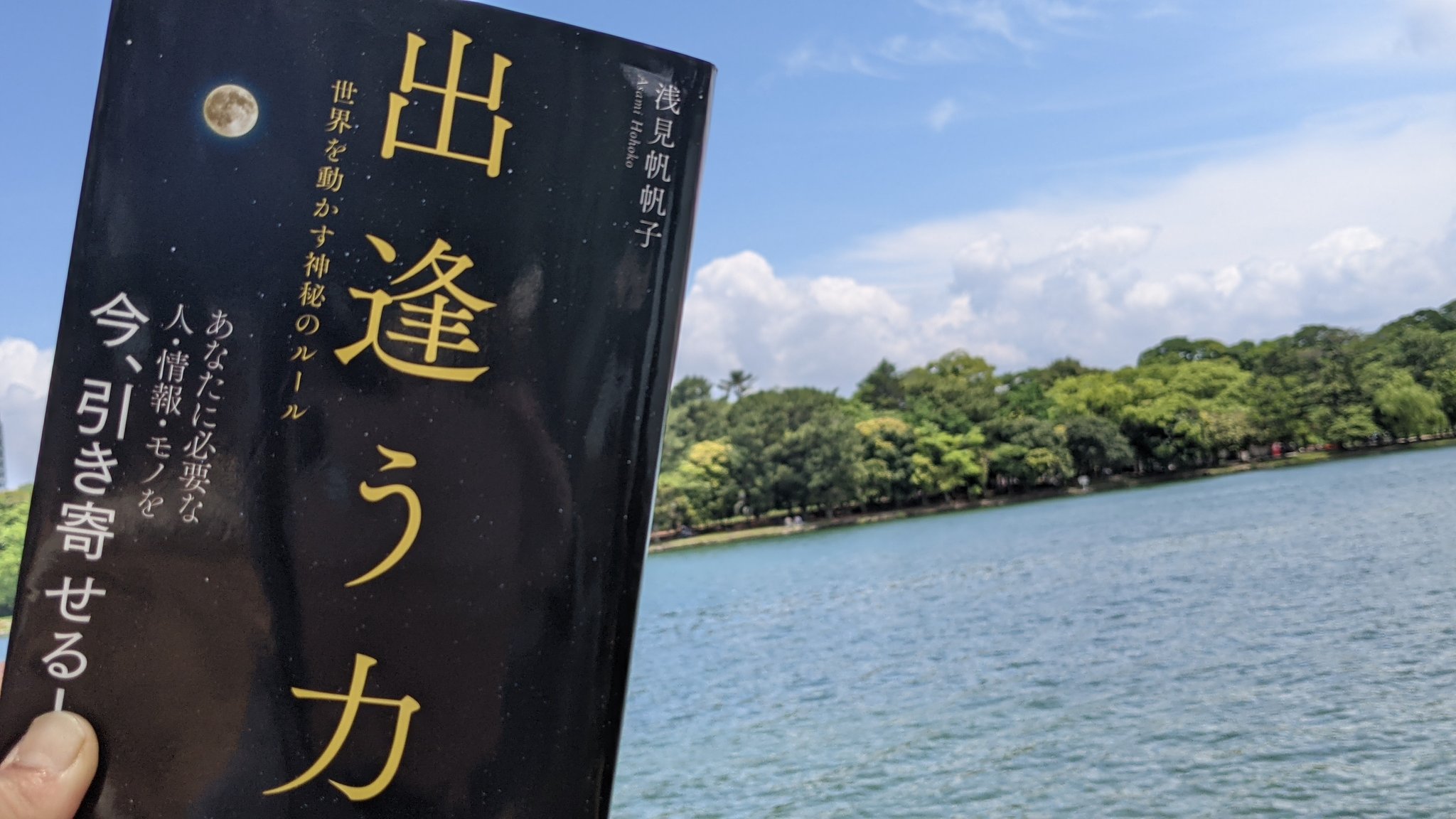 浅見帆帆子さん Twitter Search Twitter