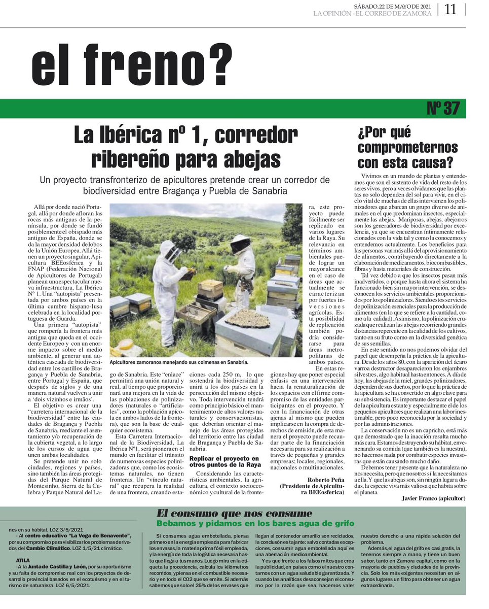 Volvemos en una primavera cada vez más silenciosa, cada vez con menos insectos, y con las abejas asumiendo el mismo papel que los canarios en las minas. Mucho por hacer. Únete a nosotras.