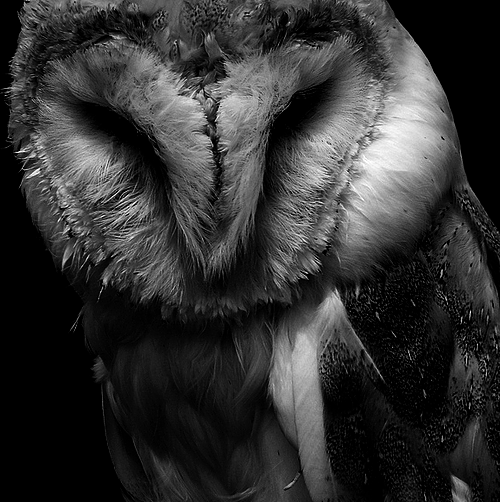 Archillect (@archillect) on Twitter photo 