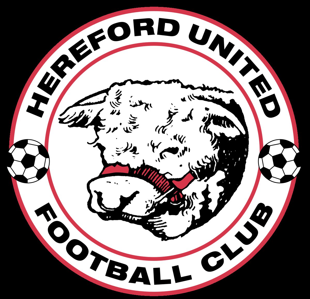 Hereford United by 2025 (HUFC2024) Twitter