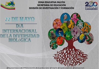 se celebra el 22 de mayo de cada año, por decisión de la Asamblea General de las Naciones Unidas del 20 de diciembre de 2000, en la Resolución 55/20
.<a href="/NicolasMaduro/">Nicolás Maduro</a>
.@MPPEDUCACION
.<a href="/SomosUnem/">SOMOS UNEM</a>
.<a href="/MarelysCastro21/">Marelys Castro Rodríguez</a>
.<a href="/Vclarkb/">Víctor Clark Boscán</a>
.<a href="/RosangelaOrozco/">Rosangela Orozco</a>
 .@Nancyor7