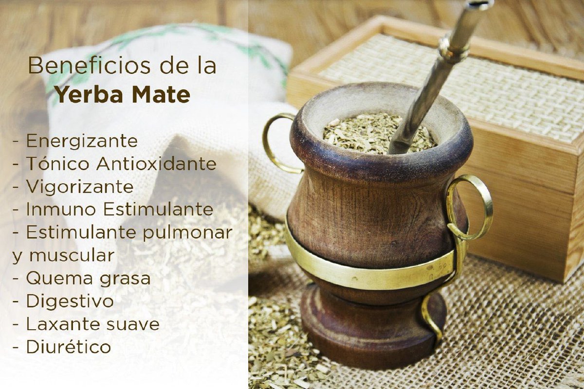 ErikaDiazFlow's tweet photo. 🧉❤️Conoce beneficios de la #YerbaMate que trasciende desde el siglo XVI y remonta a los nativos guaraníes, ellos utilizaban las hojas del árbol como bebida, objeto de culto y moneda de cambio con otros pueblos.
#TeMate ❤️ #DíaInternacionalDelTé https://t.co/58O4zVfurF
