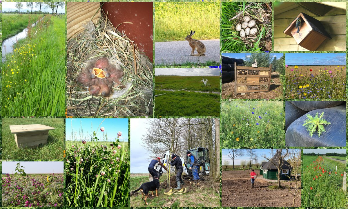 Vandaag is het #biodiversiteitsdag en laten onze #boeren-ambassadeurs graag zien dat zij zich inspannen voor meer #biodiversiteit op en rond hun agrarische bedrijven; #kijkjeopheterf 🌱🚜

#samenvoorbiodiversiteit 💪

#WorldBiodiversityDay #BiodiversityDay #BiodiversityDay2021