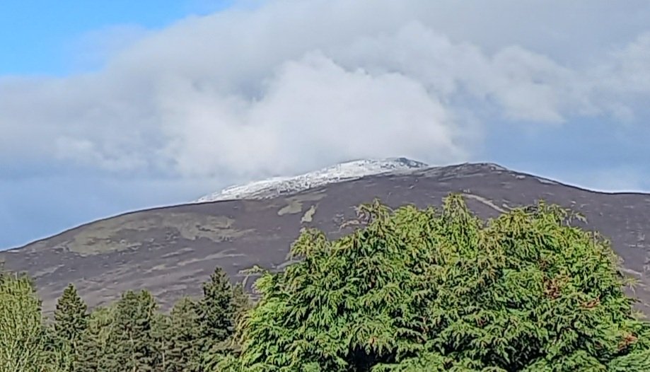 View from the bedroom window this morning. Fresh snow on the top of Morven. #cairngorms #cairngormsnationalpark
#royaldeeside