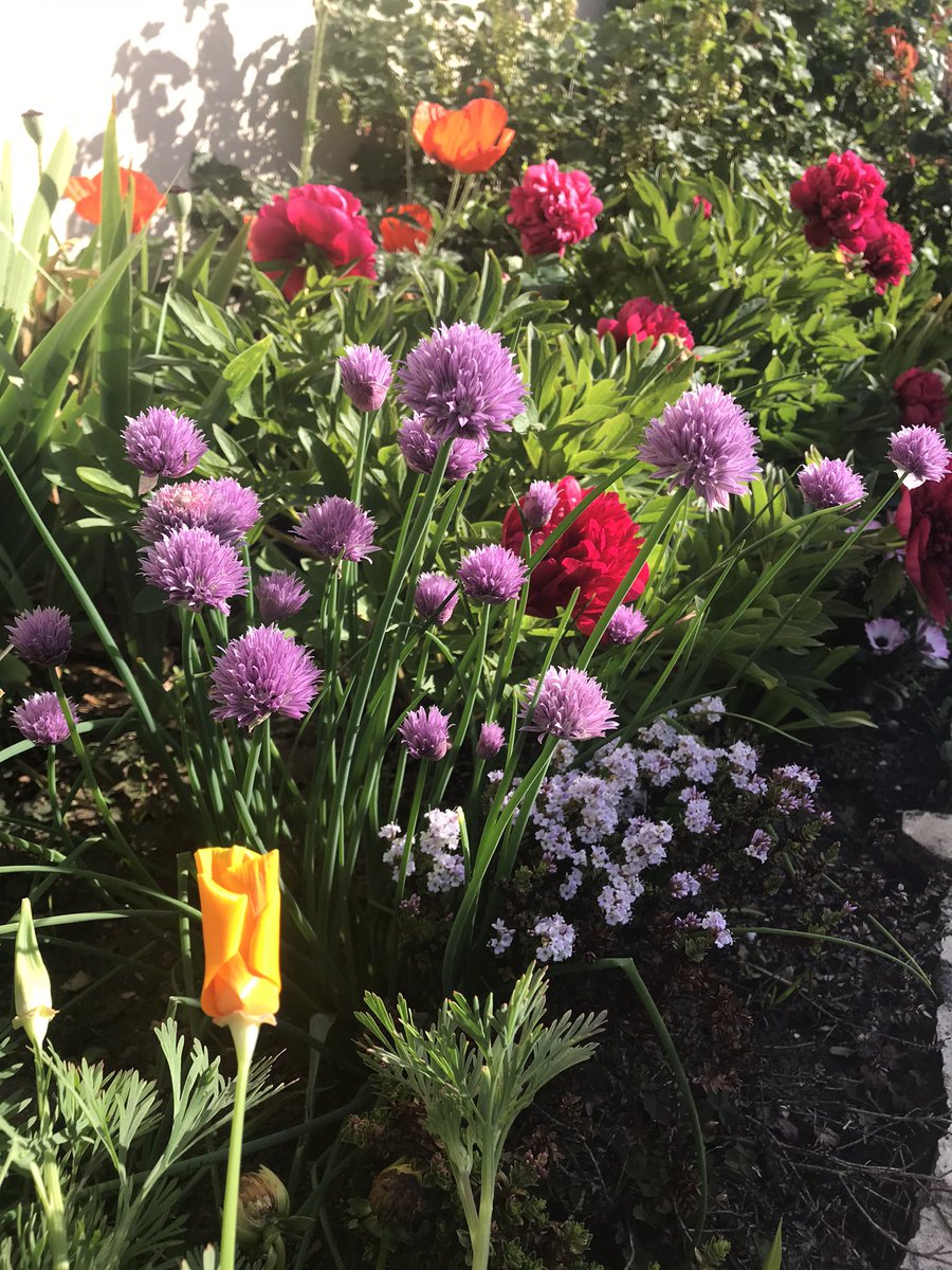 🐝C'est la journée mondiale de la #biodiversité!🐞
Si vous souhaitez agir, il existe toutes sortes d'activités pour préserver ttes les formes de la vie sur terre.🦔
Envoyez nous vos plus belles photos de fleurs mellifères 🌺 🌸#jagispournalanture ⤵️
bit.ly/2YQCdVY