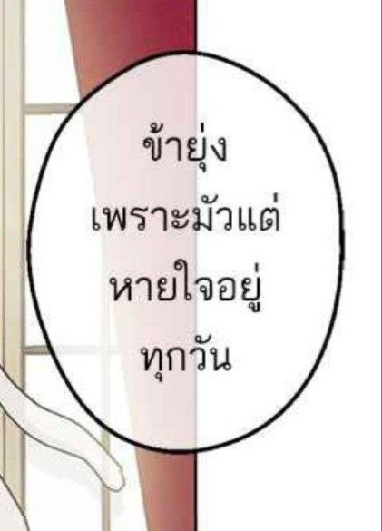 เต๋ tweet media