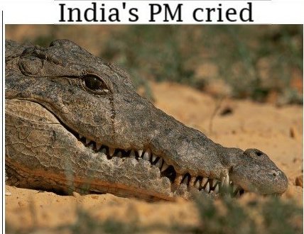 Capt86Singh's tweet photo. And the OSCAR for the best male actor goes too 😛😂😂 #Oscars #CovidIndia https://t.co/JapylGJKFL
